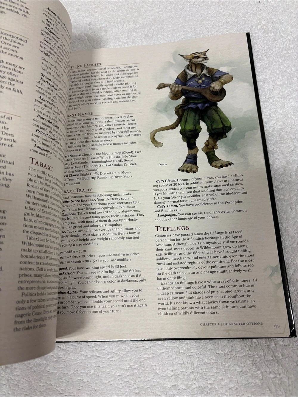 Dungeons & Dragons Explorer's Guide to Wildemount - Green & Purple Cover